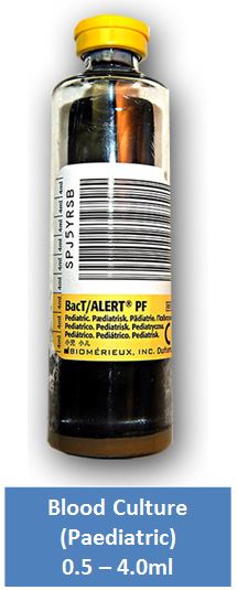 Blood Culture Paediatric